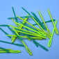 15-Piece Plastic Sewing Needle Set - Small, Medium, Large(5x3), accessories for knit&crochet